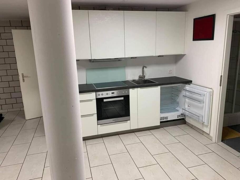 Basel - 5 Mins Away - Modern Basement Studio With Kitchen 35M2 In Muttenz Διαμέρισμα Εξωτερικό φωτογραφία