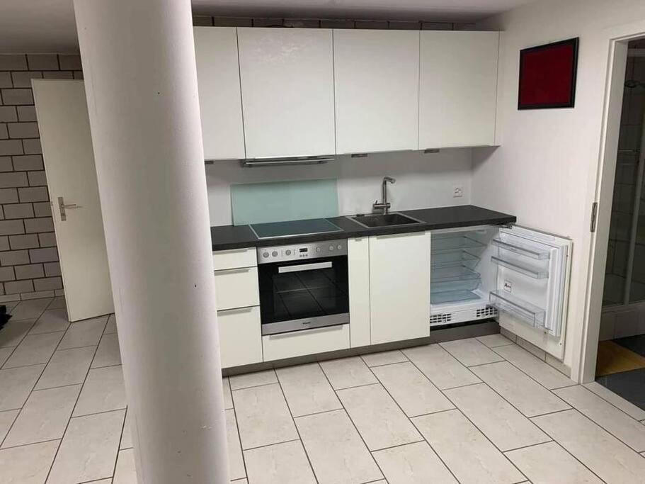 Basel - 5 Mins Away - Modern Basement Studio With Kitchen 35M2 In Muttenz Εξωτερικό φωτογραφία