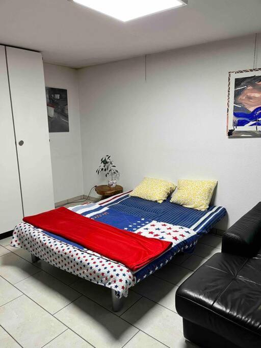 Basel - 5 Mins Away - Modern Basement Studio With Kitchen 35M2 In Muttenz Εξωτερικό φωτογραφία