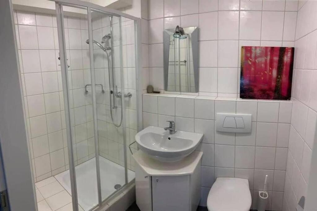 Basel - 5 Mins Away - Modern Basement Studio With Kitchen 35M2 In Muttenz Εξωτερικό φωτογραφία