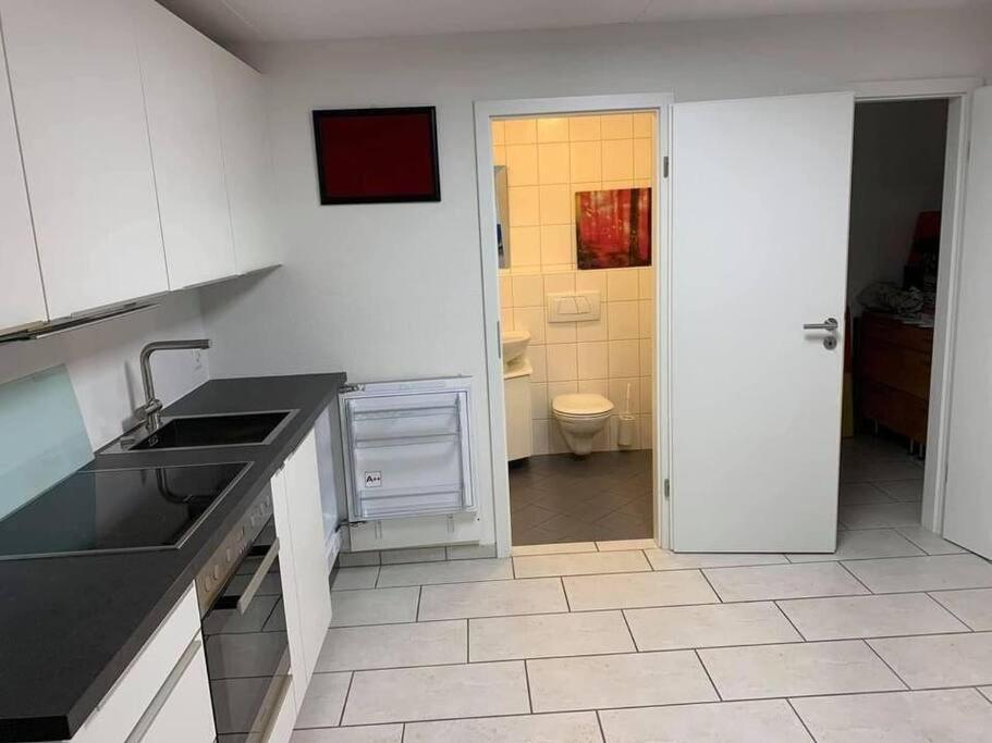 Basel - 5 Mins Away - Modern Basement Studio With Kitchen 35M2 In Muttenz Εξωτερικό φωτογραφία