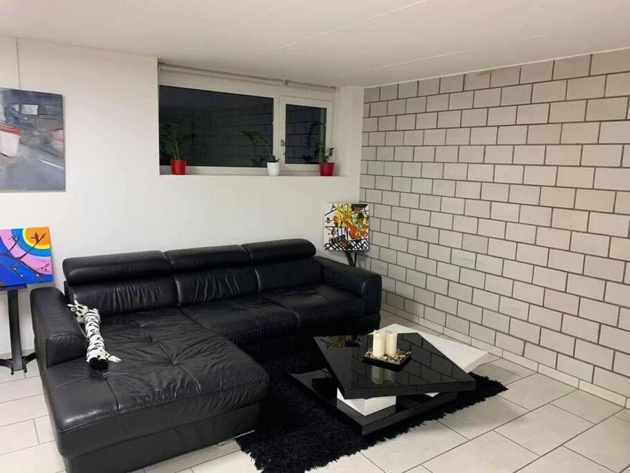 Basel - 5 Mins Away - Modern Basement Studio With Kitchen 35M2 In Muttenz Εξωτερικό φωτογραφία